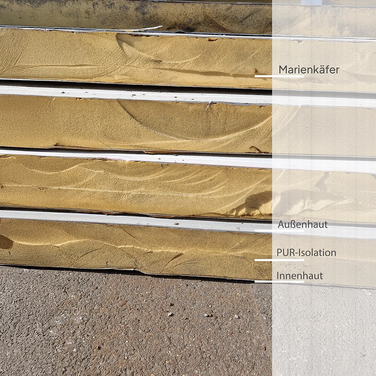 Containerisolierung, Sandwichbauweise, Dämmung