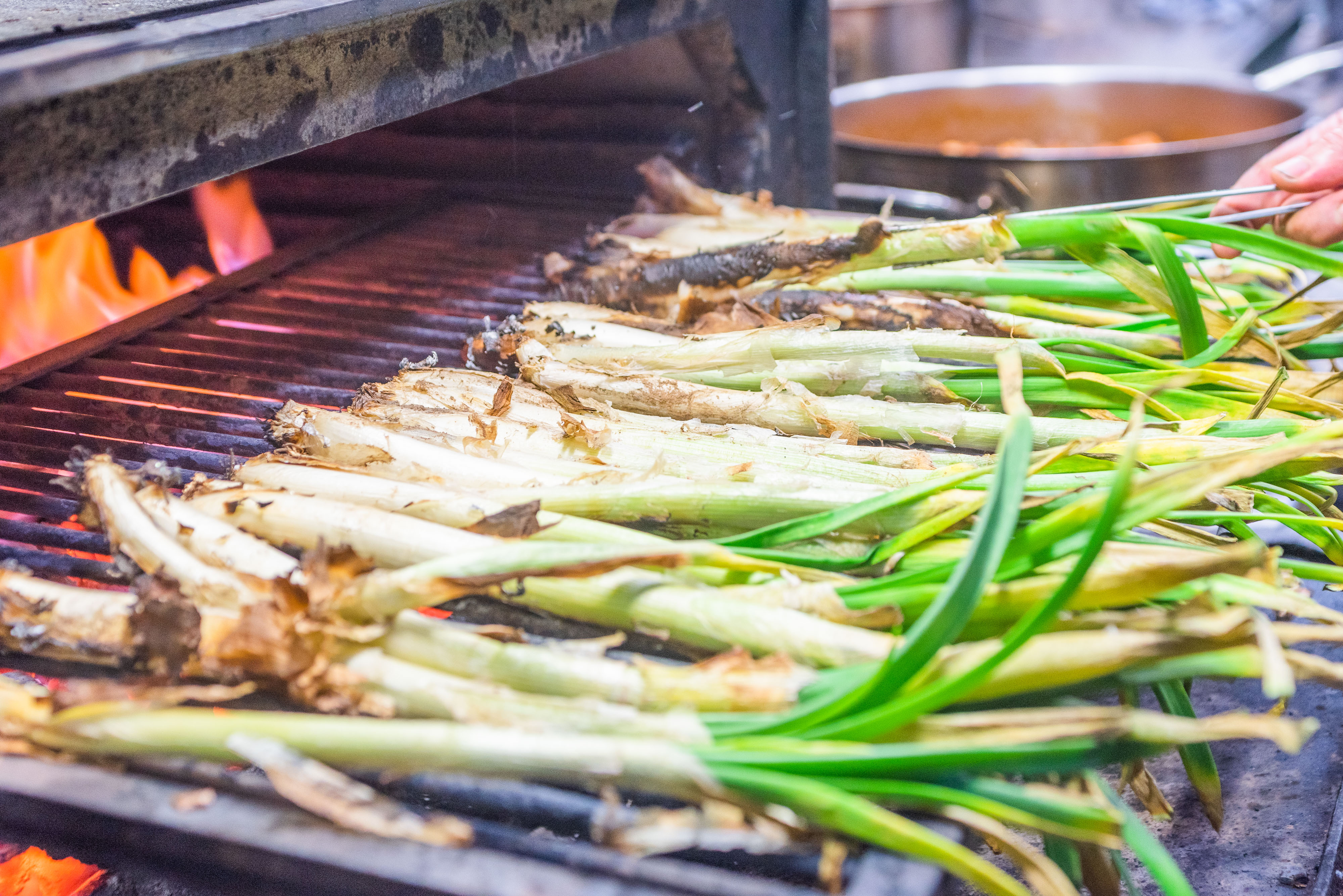 Calcotada en Barcelona: La Tradición Gastronómica que Celebra Bodega Joan