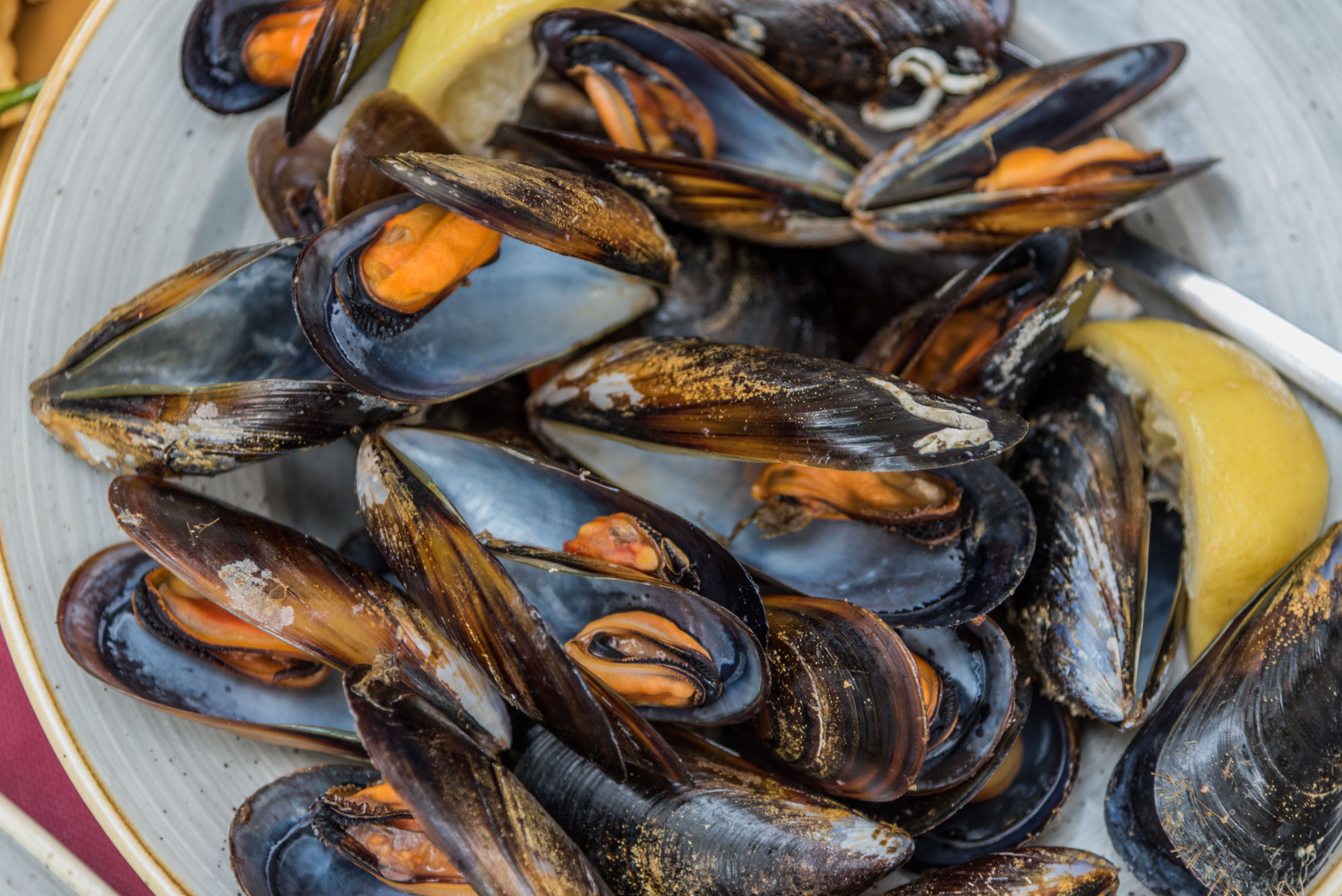 Sabores Navideños Tradicionales: Un Viaje Gastronómico en Bodega Joan
