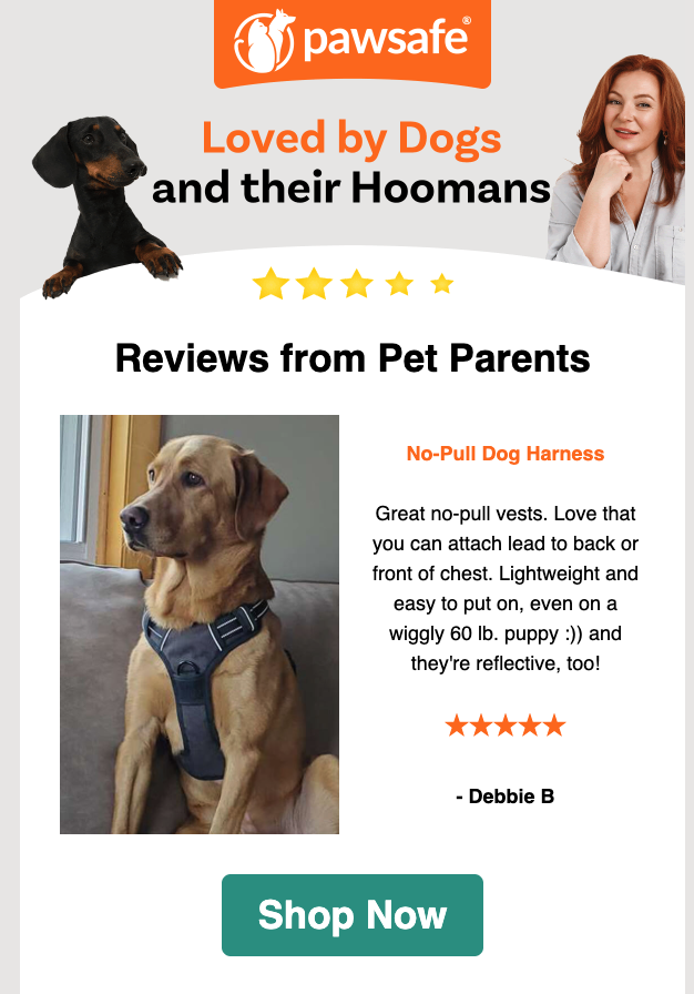 Customer journey map: welcome email testimonials