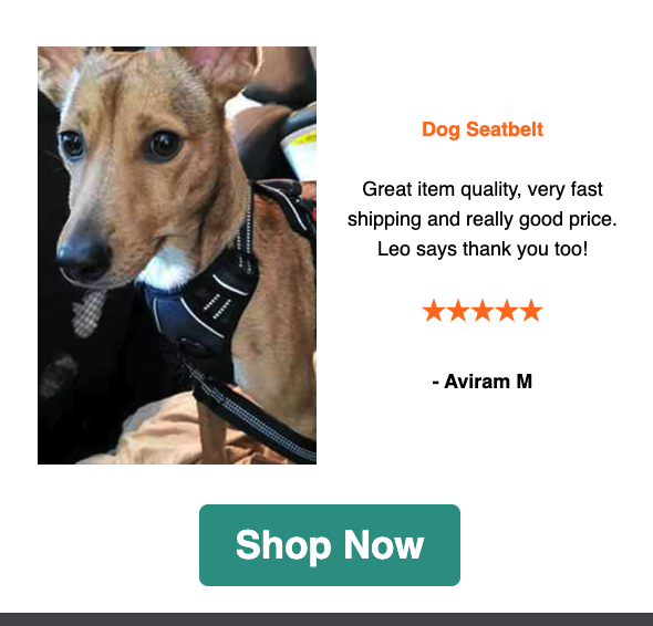 Customer journey map: welcome email best sellers