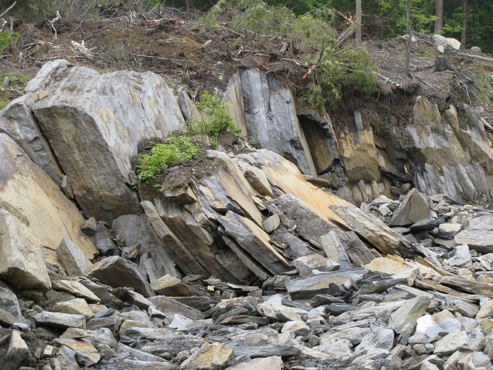 Discover Goshen Stone Quarry: Premium Natural Stone for Construction & Design