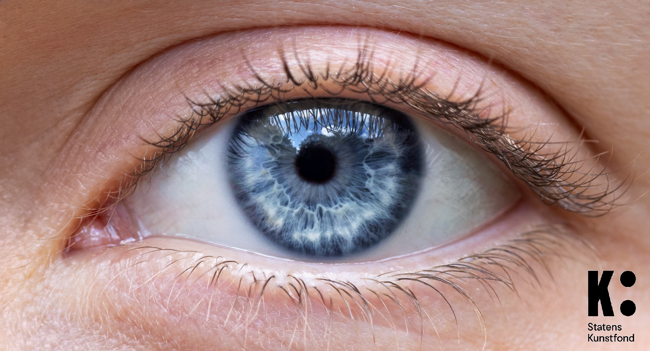 Saltholm Revisited, 2023