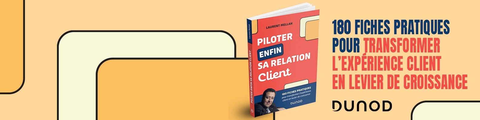 Piloter enfin sa relation client (Dunod)