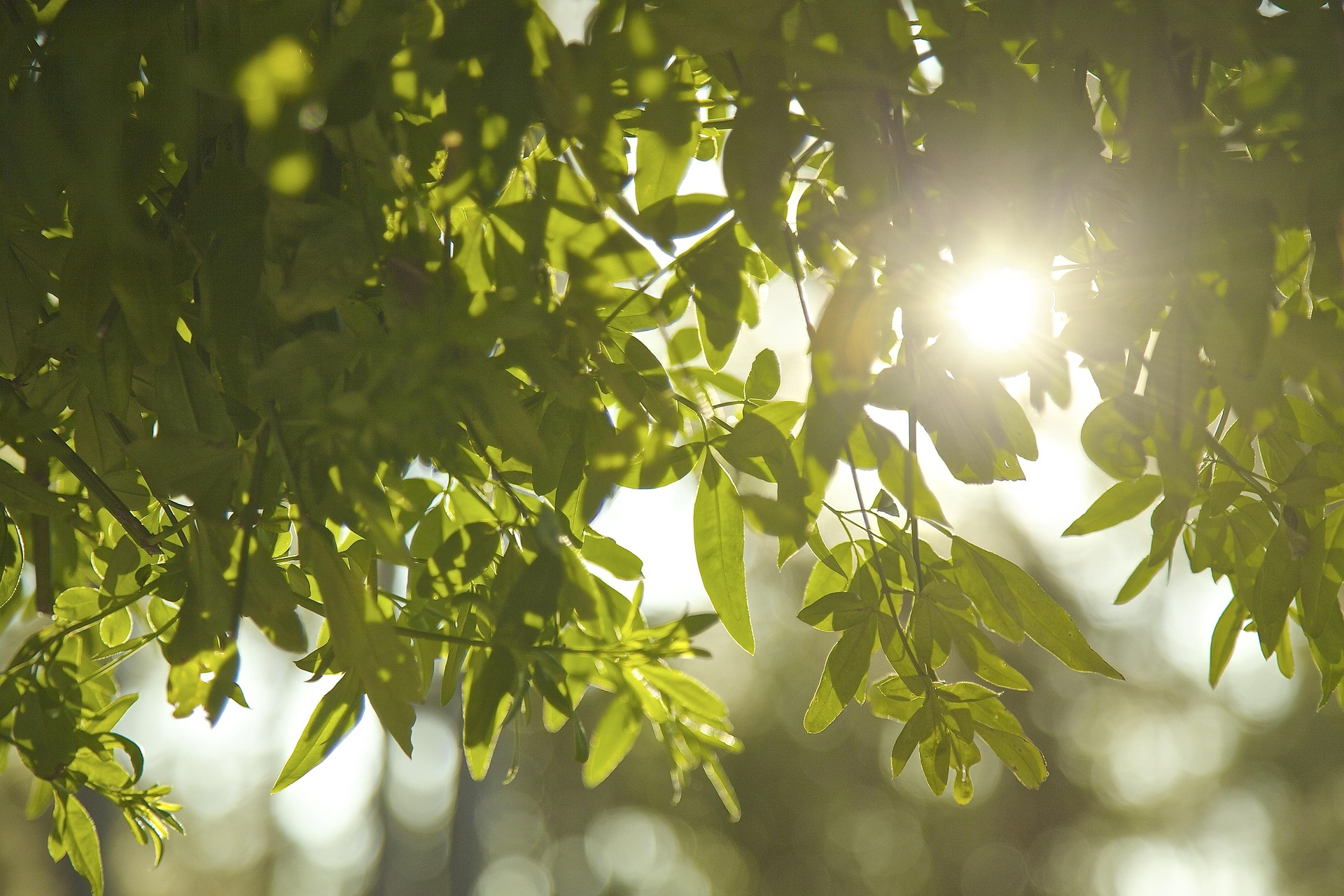 Kvinne som sitter ved et bord