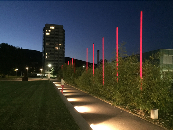 Installation struktur 1 am Kantonsspital Olten: Reihe von leuchtend roten LED-Stelen, die zwischen einer dichten Bambushecke in die Höhe ragen; nächtliche Aufnahme mit beleuchtetem Grün und dunklem Himmel.