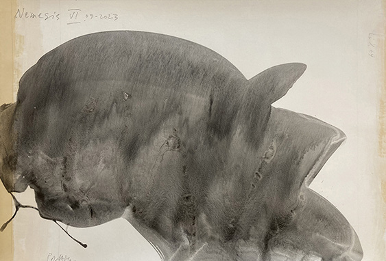 Marcel Peltier – "Nemesis" (2023): Abstrakte, monochrome Komposition mit einer kompakten, organisch geschwungenen Form in dunklen Grau- und Schwarztönen auf hellem Papiergrund. Die dichte, wolkige Fläche zeigt weiche Übergänge, verlaufende Pigmente, feine Risse und vereinzelte Tropfspuren am Rand. Die amorphe Gestalt wirkt schwer und körperhaft, zugleich fluid und prozesshaft, mit sichtbaren Spuren des Materials und der Bewegung während der Entstehung.