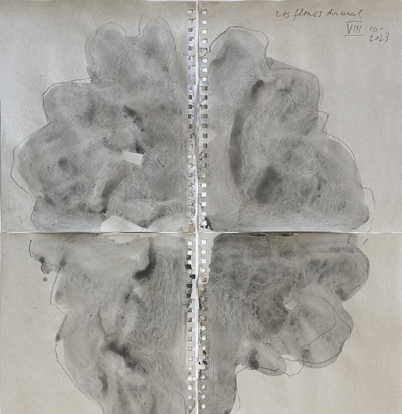 Marcel Peltier – Werkserie "Les Fleurs du Mal " (2023) – Ausschnitt (IX, 09/2023): Abstrakte, monochrome Komposition mit dynamischen, nach oben und seitlich ausgreifenden Pinsel- bzw. Tuschestrichen in dunklen Grau- und Schwarztönen auf hellem Grund. Die dichten, gestischen Strukturen zeigen sichtbare Strichrichtungen, Überlagerungen und ausgefranste Kanten und erinnern an eine sich auffächernde, blüten- oder pflanzenartige Form.