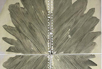 Marcel Peltier – Werkserie "Les Fleurs du Mal " (2023) – Ausschnitt (IX, 2023): Abstrakte, monochrome Darstellung mit streng symmetrischer Anlage: Von einer vertikalen Heft- bzw. Bindungsachse aus entfalten sich fächerartige, dicht geschichtete Pinsel- oder Tuschestriche in graugrünen bis dunklen Grautönen. Die rhythmischen, nach außen strebenden Formen erinnern an Blätter oder Blüten und zeigen feine Linien, Überlagerungen und eine lebendige, gestische Textur auf hellem Papiergrund.