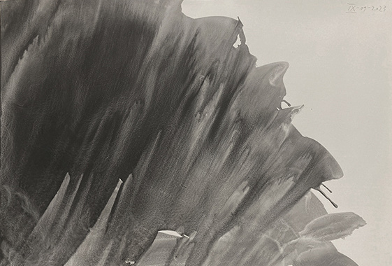 Marcel Peltier – Werkserie "Les Fleurs du Mal " (2023) – Ausschnitt (VIII, 10/2023): Vier abstrakte, monochrome Formen in einer 2×2-Anordnung auf hellem Papier. Die grau-schwarzen, wolkig-transparenten Tusche- oder Grafitflächen wirken weich verwaschen, mit unregelmäßigen Rändern, Flecken und leichten Überlagerungen. Eine sichtbare Heft- bzw. Bindungsfalz verläuft vertikal durch die Mitte und betont den skizzenhaften, prozesshaften Charakter der Arbeit.