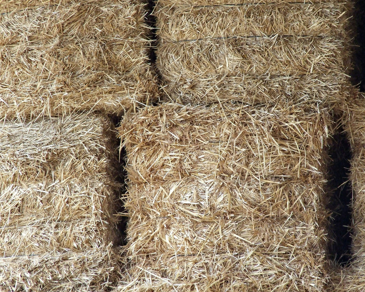 Hay bales