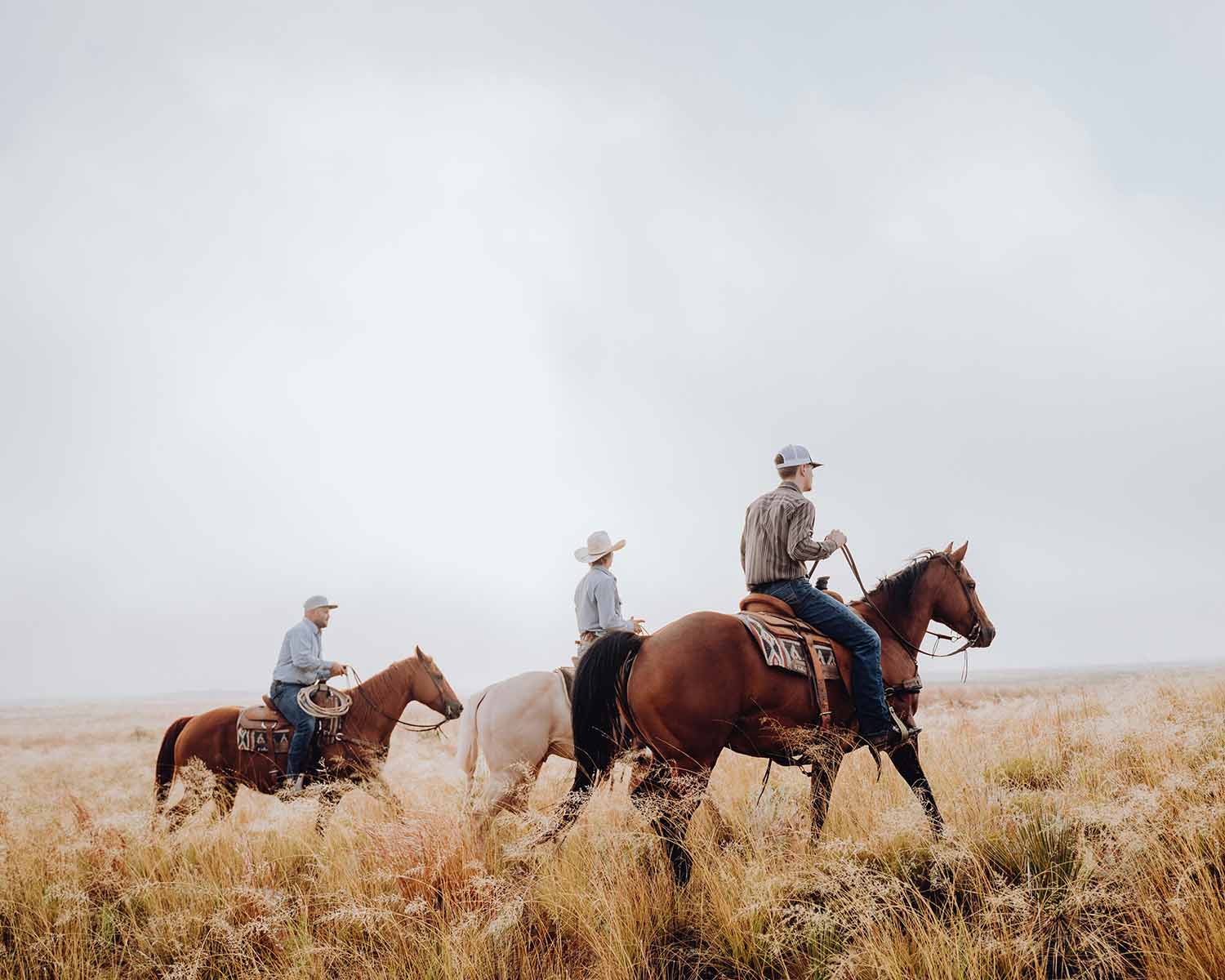 Men on horseback
