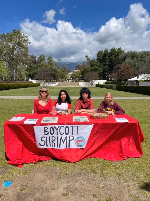 new roots fellows at a boycott shrimp campaign