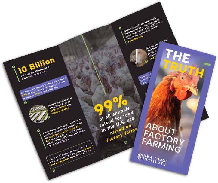 Tri-fold brochure with a chicken on the cover and text that reads "The Truth About Factory Farming".
