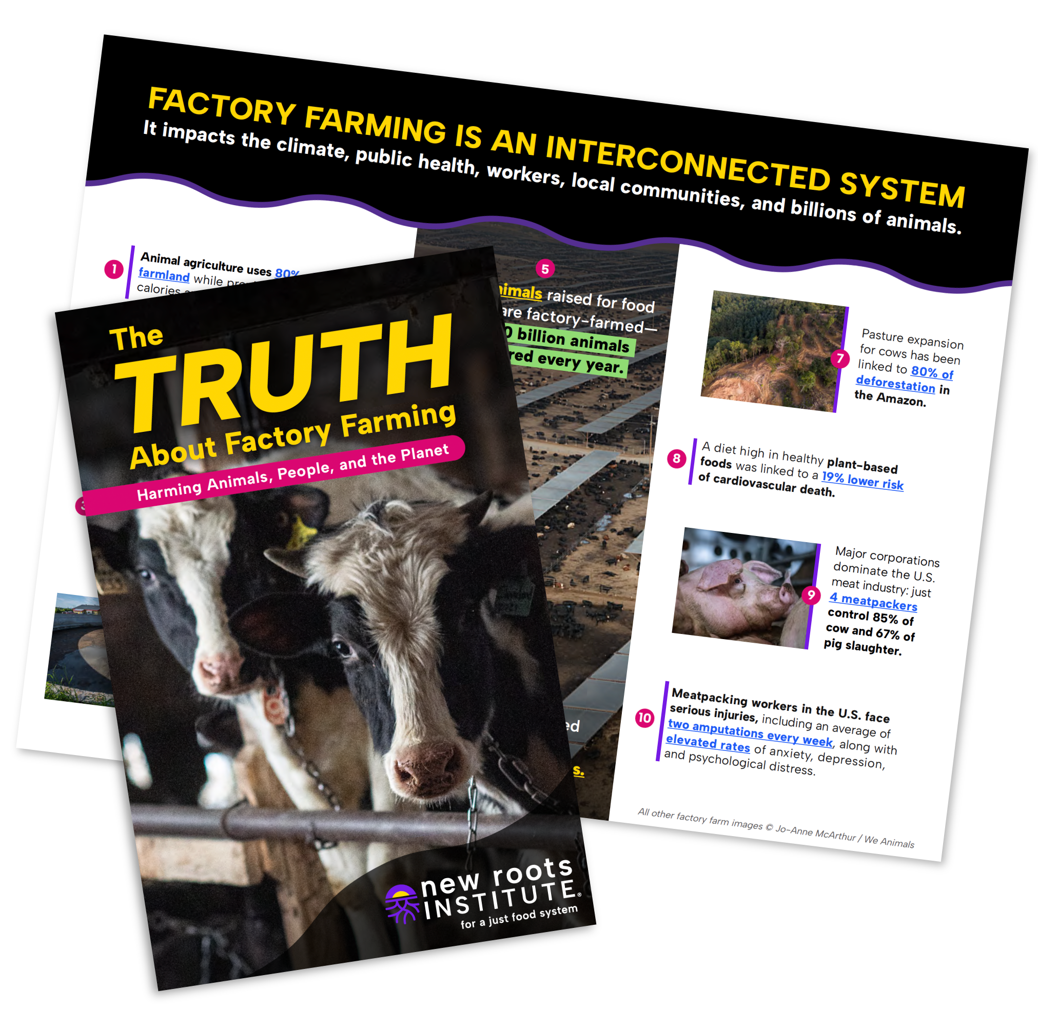 truth about factory farming brochure