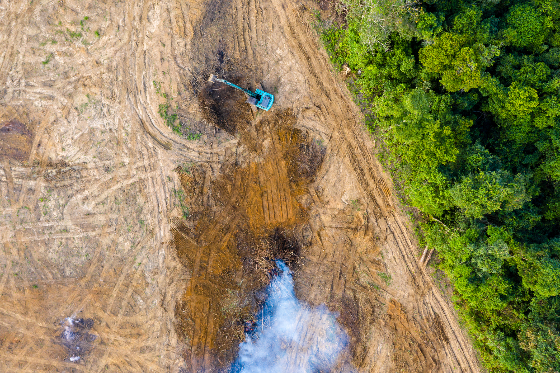 Deforestation process of earth mover removing trees to burn in tropical rainforest