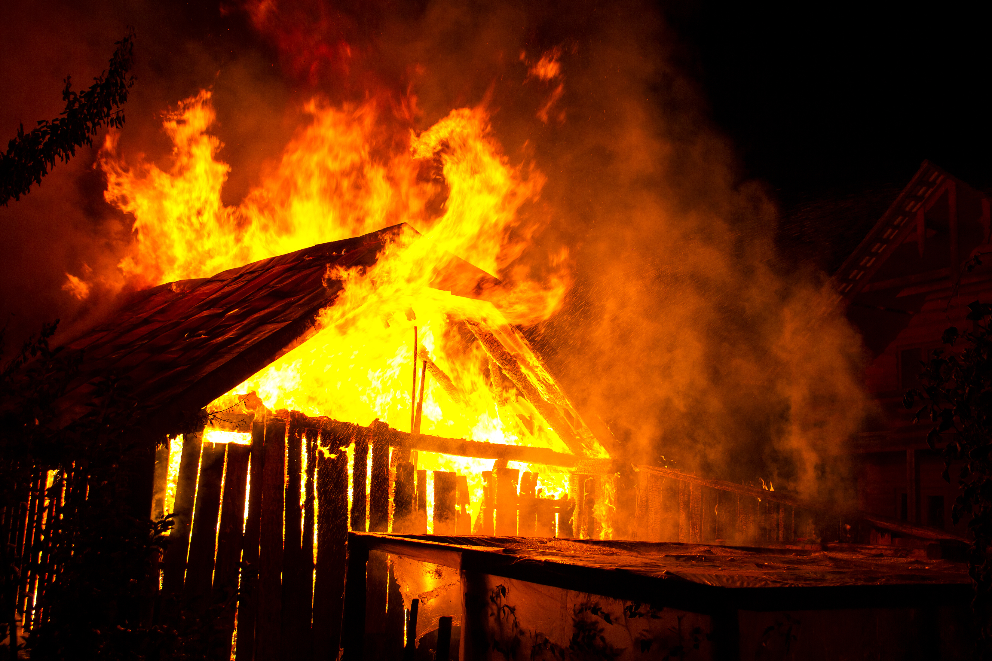 Factory Farms Are Fueling Wildfires and Burning From the Inside Out 