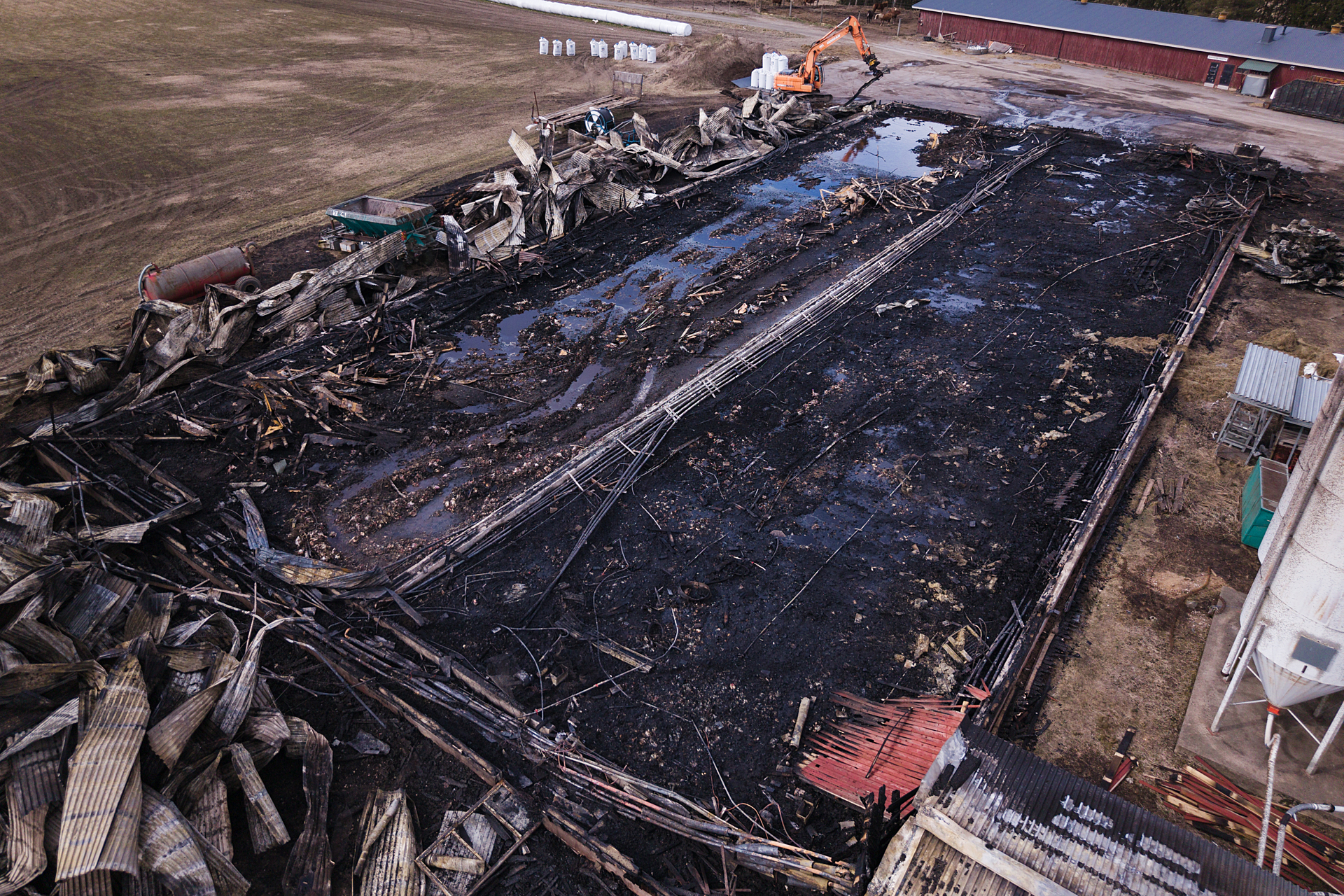 chicken factory farm destroyed by fire, excavator working through rubble