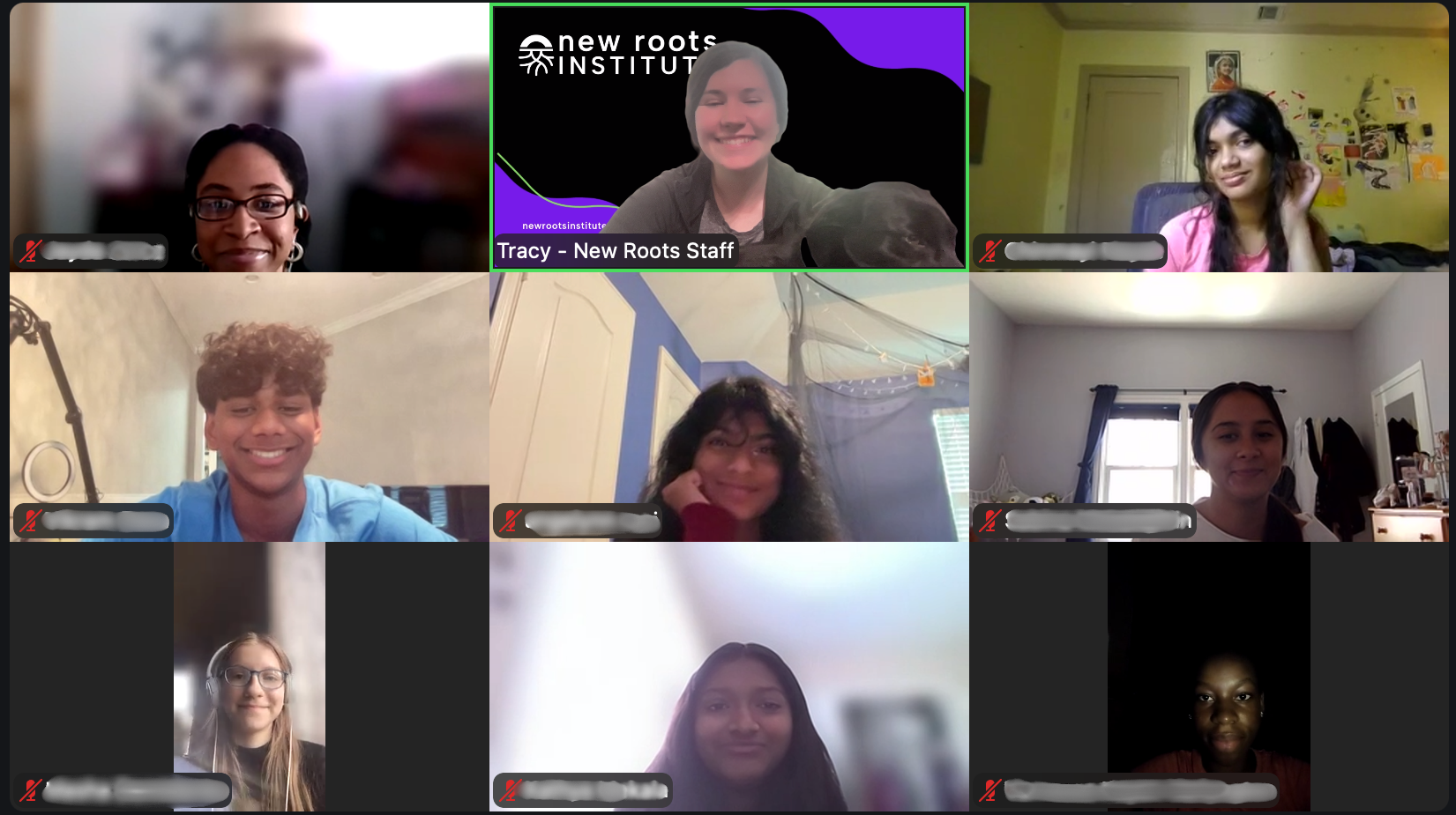 Zoom screenshot of teaching fellow Tracy and her discussion group