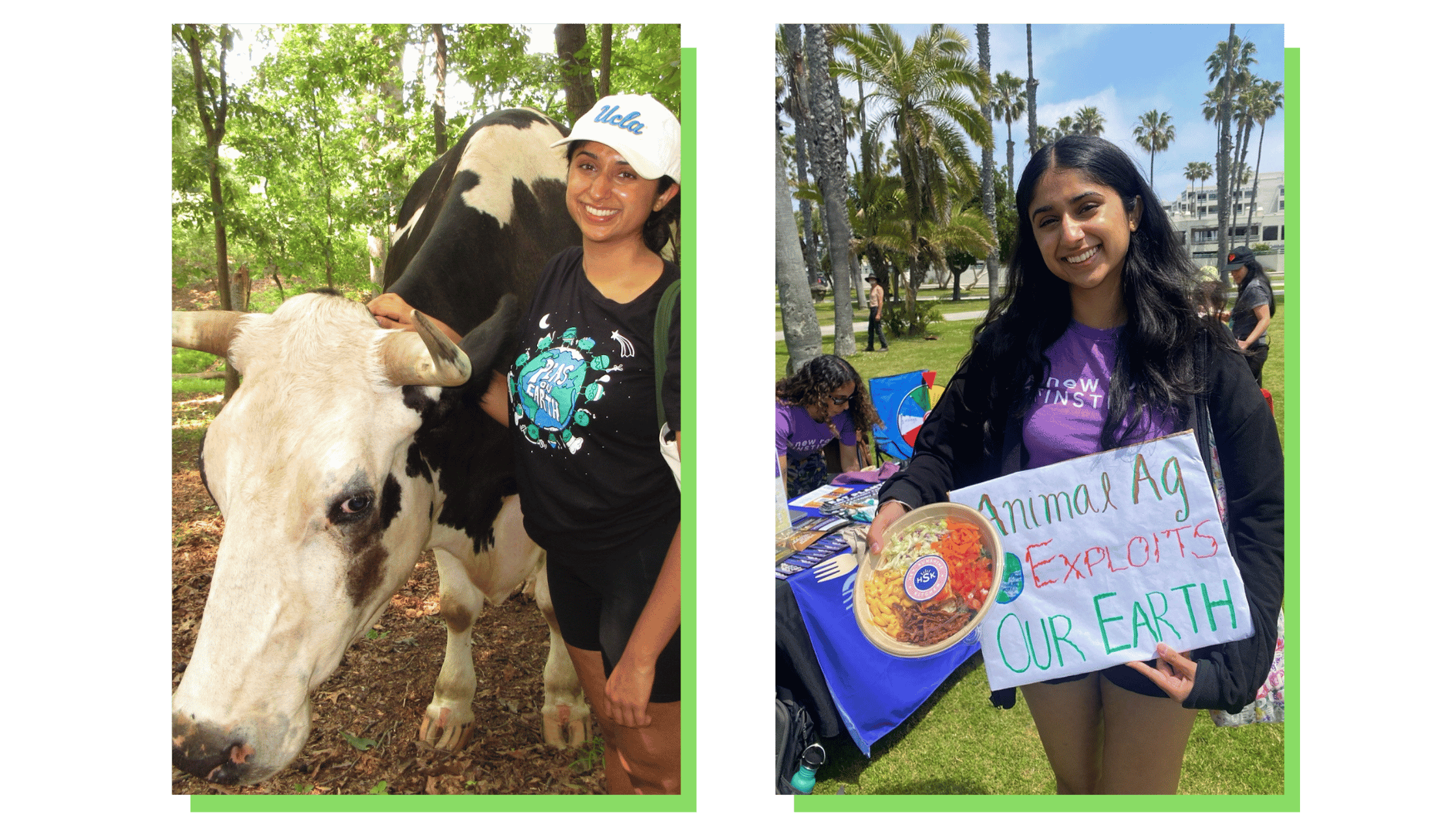 two pictures of New Roots alum Sarahjeet. left image shows Sarahjeet with a cow and right image shows Sarahjeet at a tabling event holding plant-based food and a sign that reads Animal Ag Exploits Our Earth
