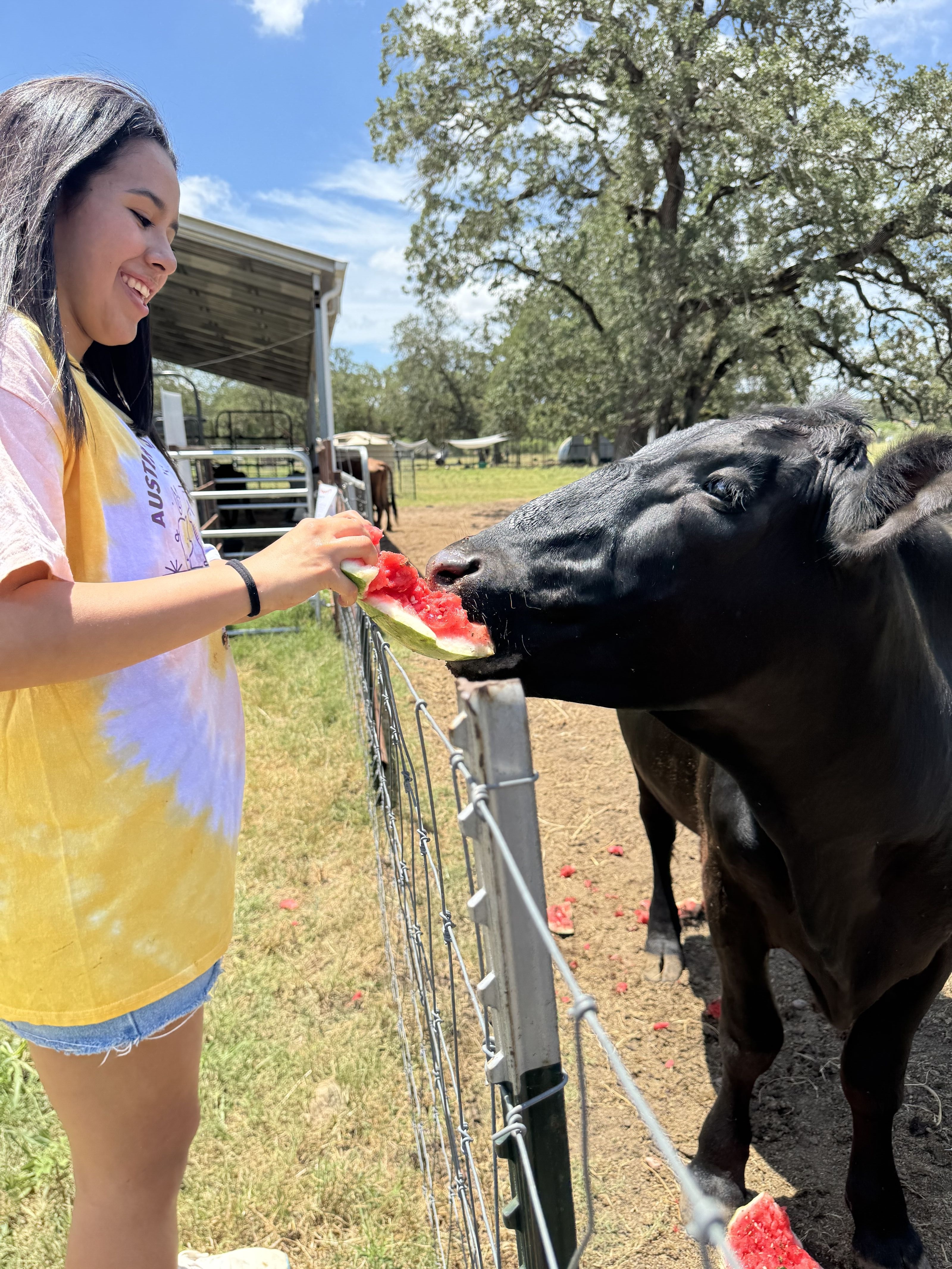 New Roots Institute Leadership Academy fellow, Regina Cruz, is feeding a watermelon to a cow at an animal sanctuary
