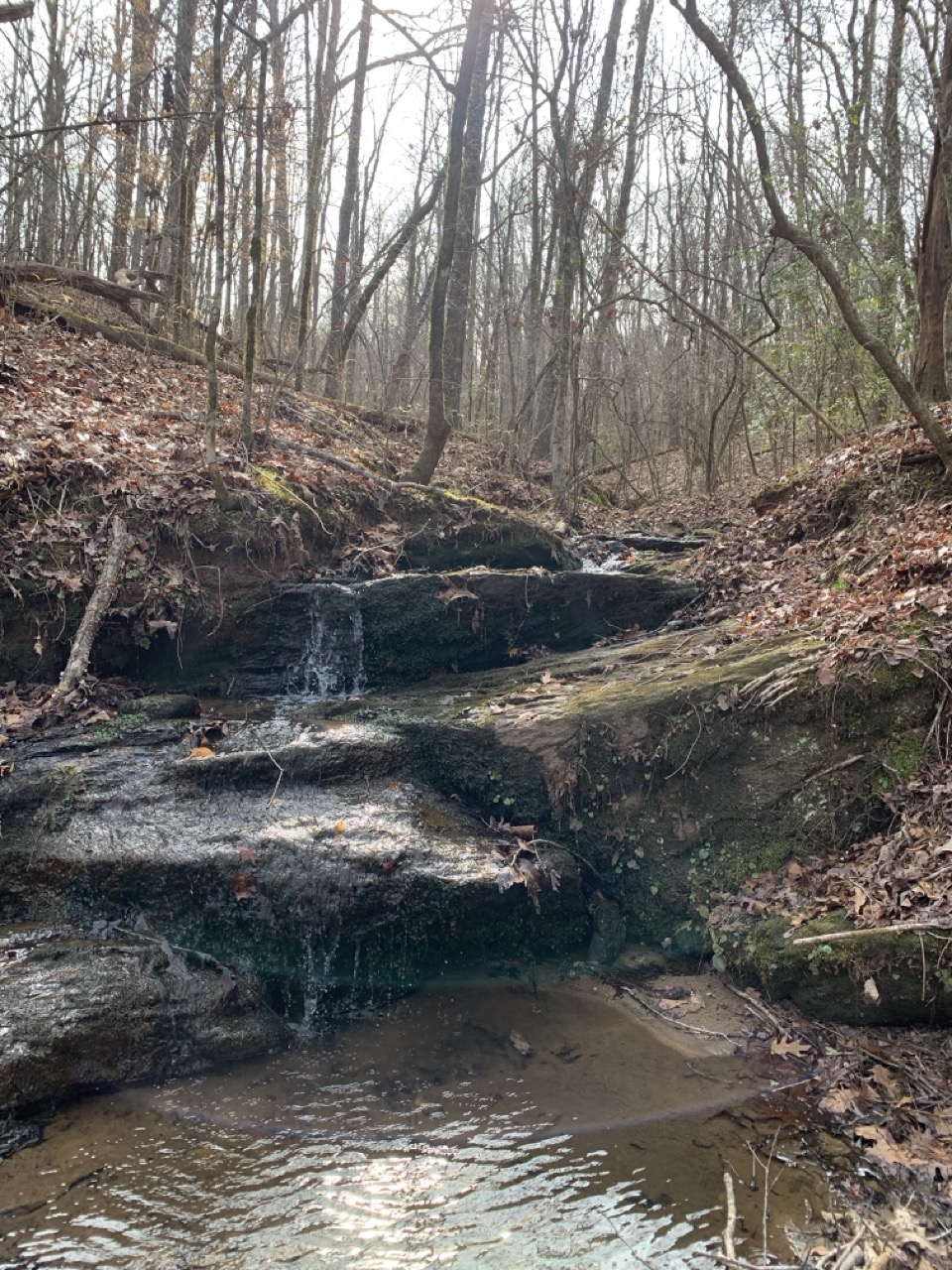 Small stream flowing over exposed rock ledges within a wooded riparian area where PEC provides environmental, stream, and wetland field services