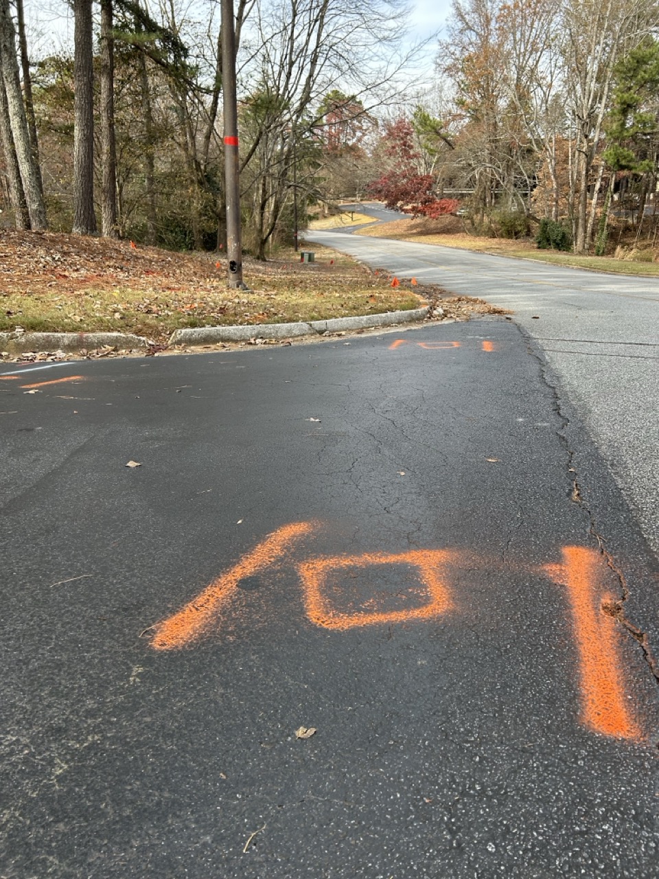 Road with orange spray-painted utility markings on asphalt near a curb, surrounded by leafless trees and some autumn foliage showing PEC Utility Locate Field service.