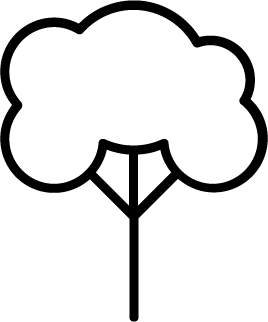 Outlined icon drawing of a tree with a rounded canopy and a straight trunk symbolizing PEC Arborist service.