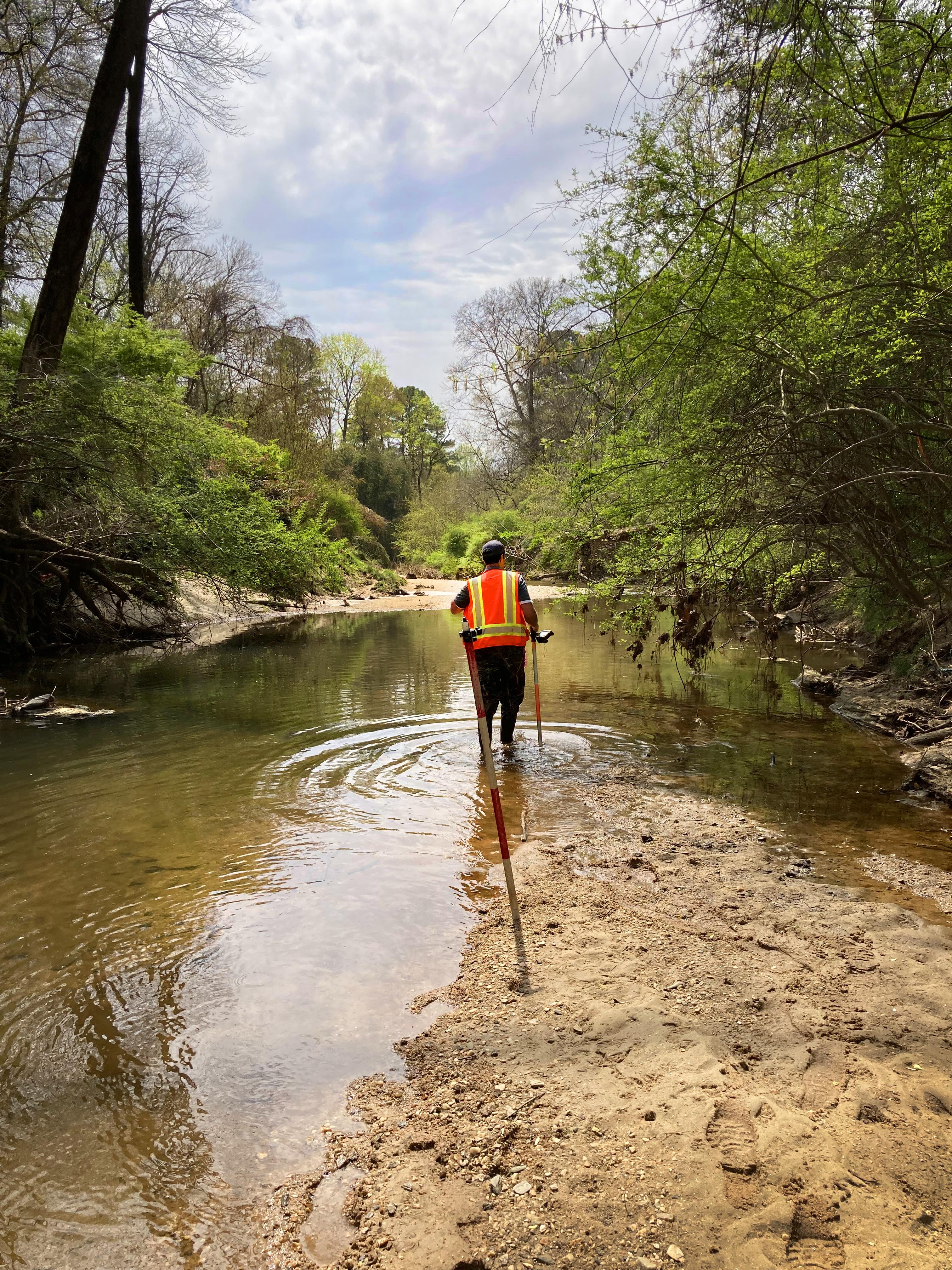 Field staff member wearing a high-visibility safety vest wades through a shallow stream, using survey equipment to assess wetland conditions along a wooded creek.