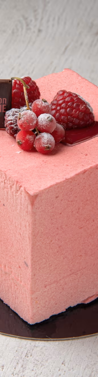 entremet haut de gamme lyon 