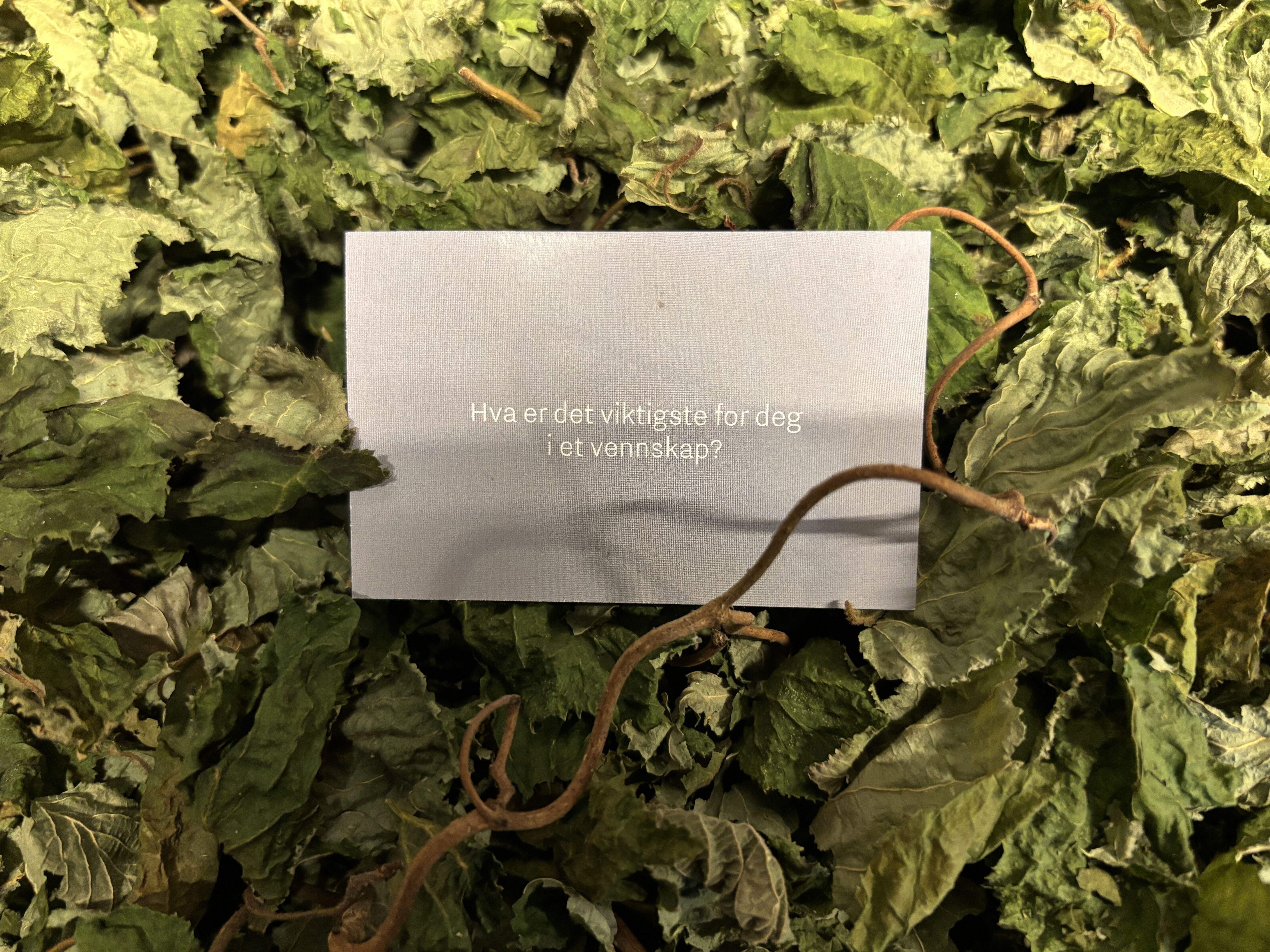 Mann som bruker snakkekort