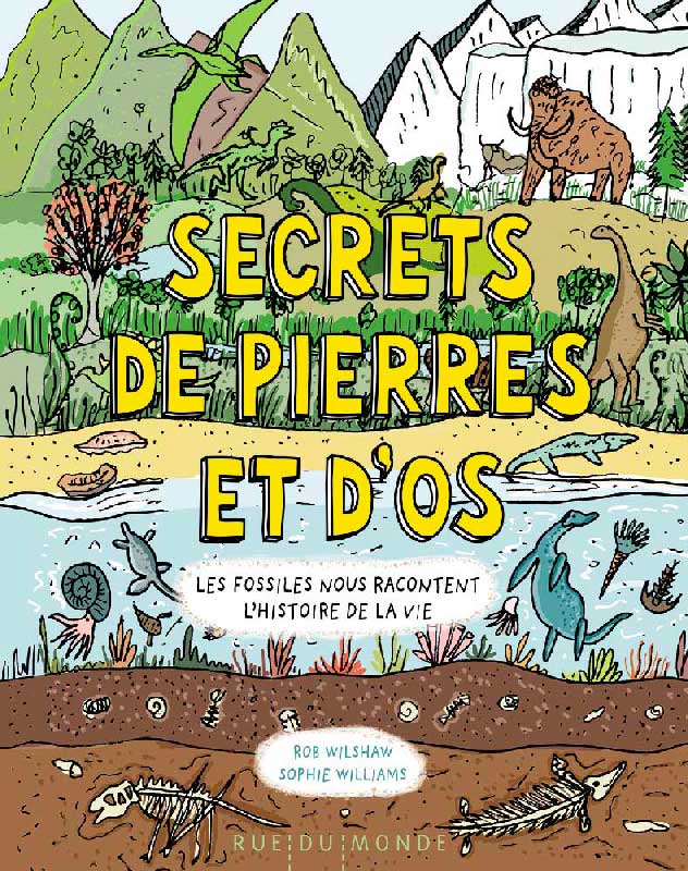 Secrets de pierres et d'os
