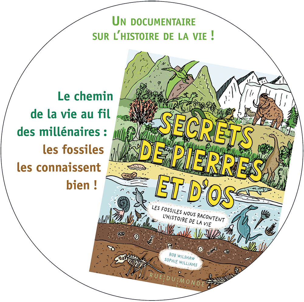 images extraite du livre secrets de pierres et d'os