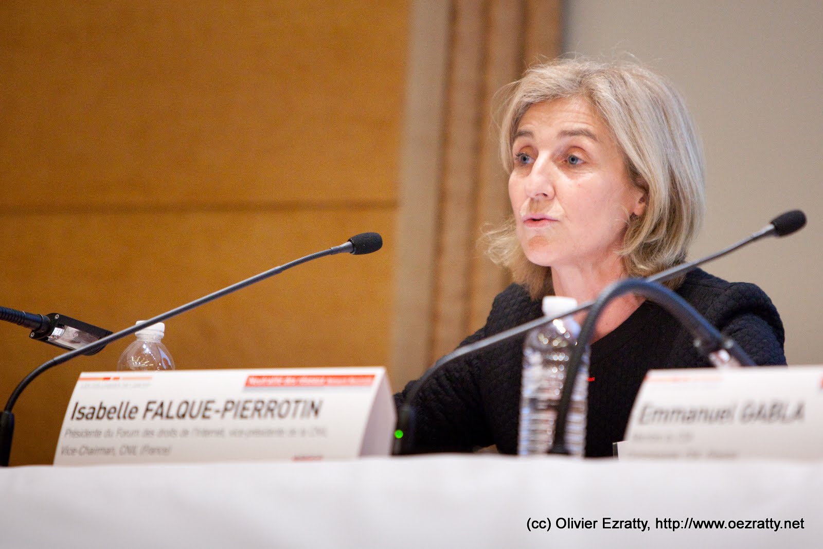 Isabelle Falque-Pierrotin