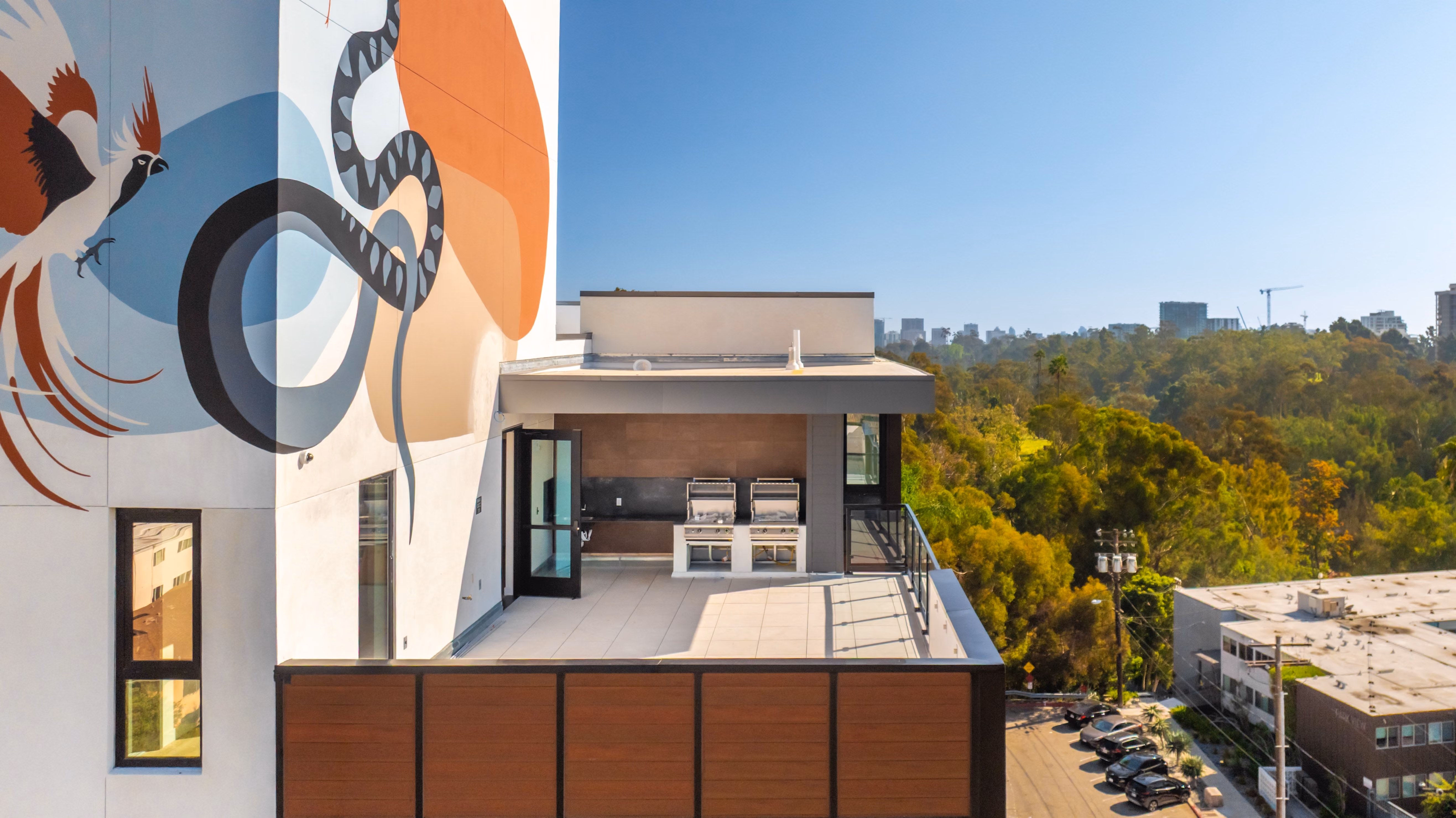 Rooftop patio with two grills, a colorful mural, trees, and city buildings in the background.