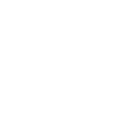 CV icon