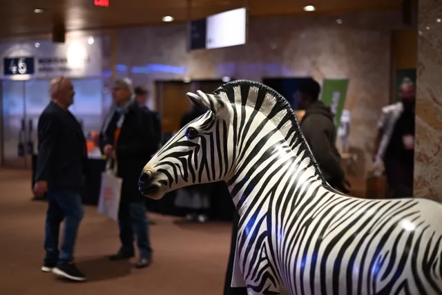 Close crop photo of the 5-foot zebra statue