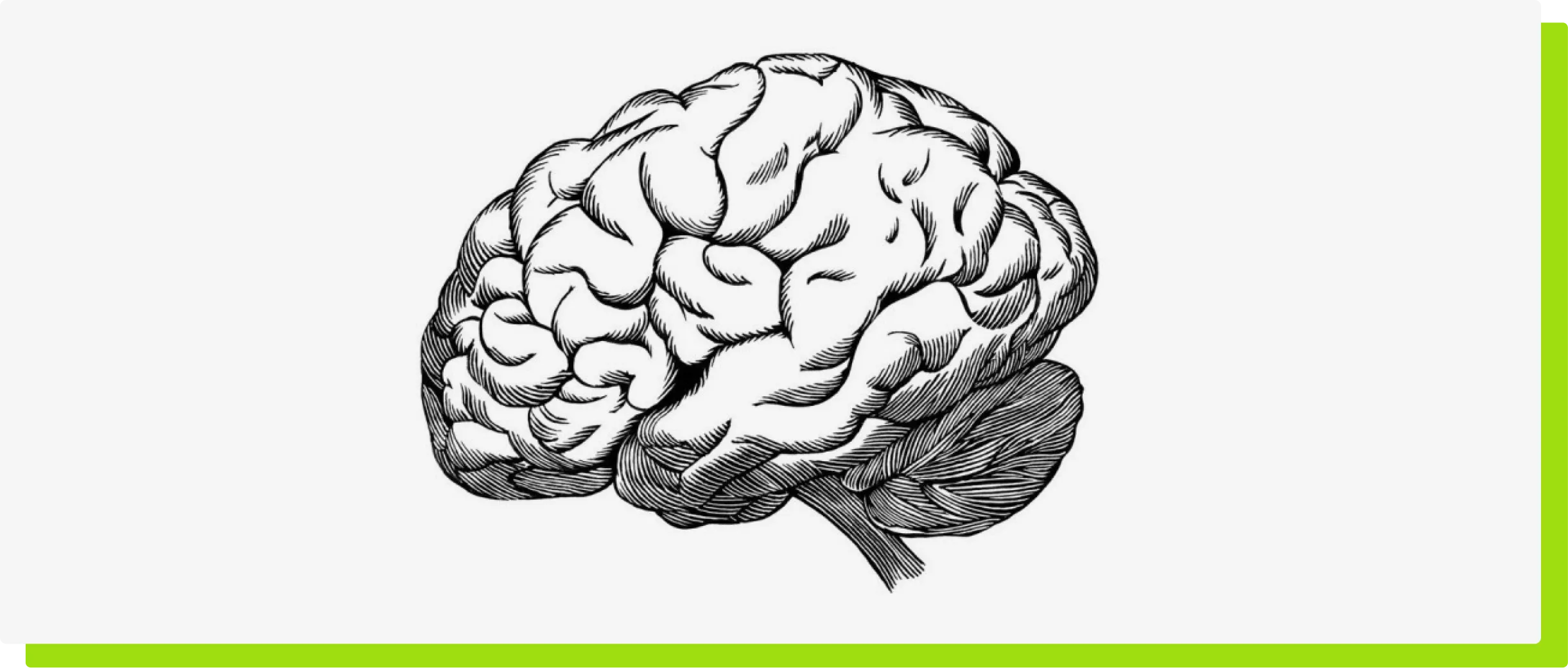 The Greatest Investment You’ll Ever Make? Your Mind