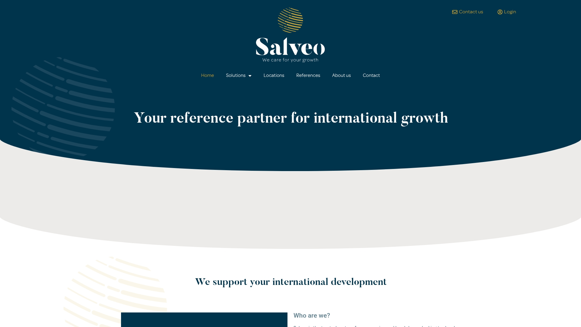 Salveo International Screenshot