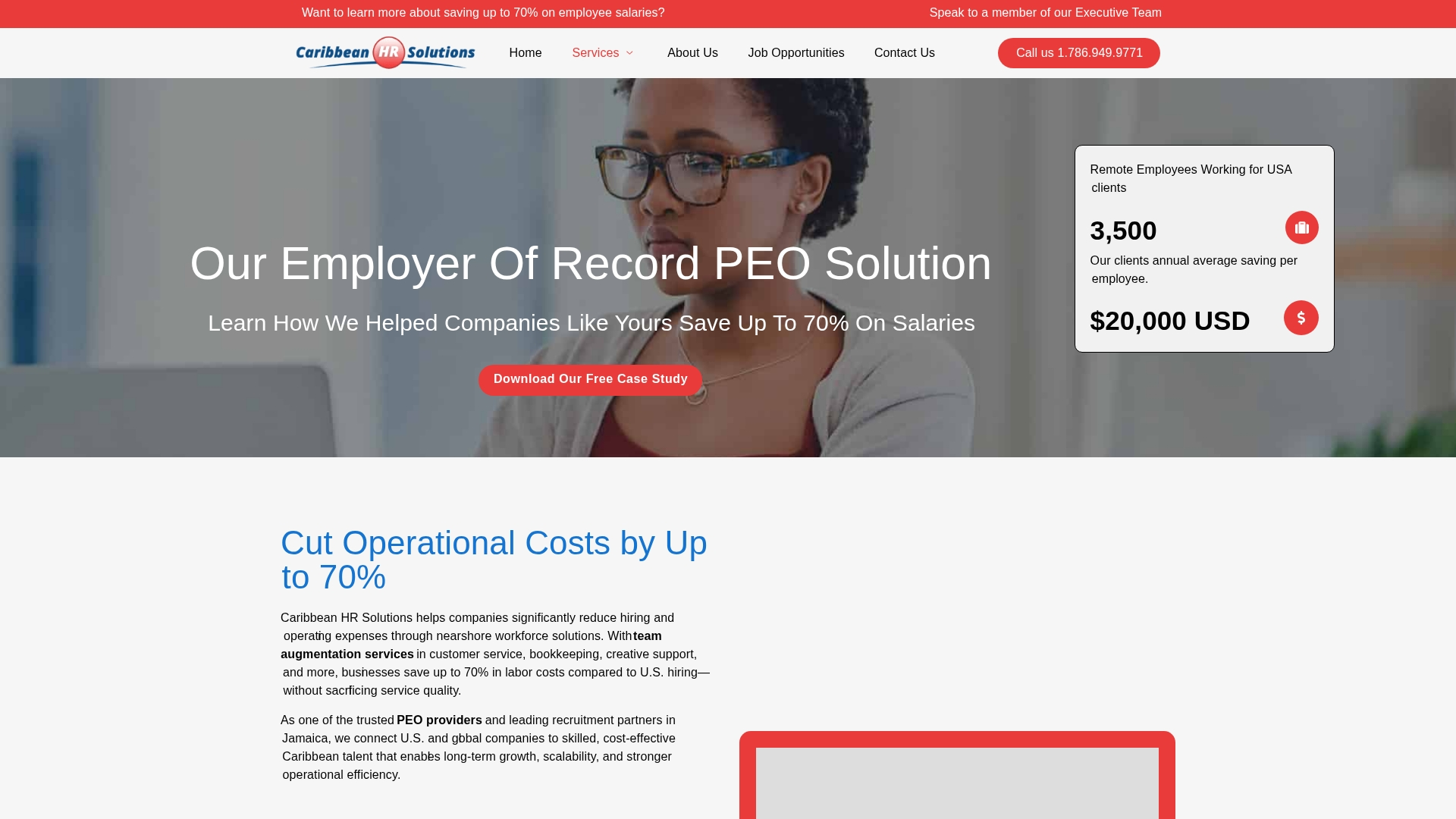 Caribbean HR Solutions Screenshot