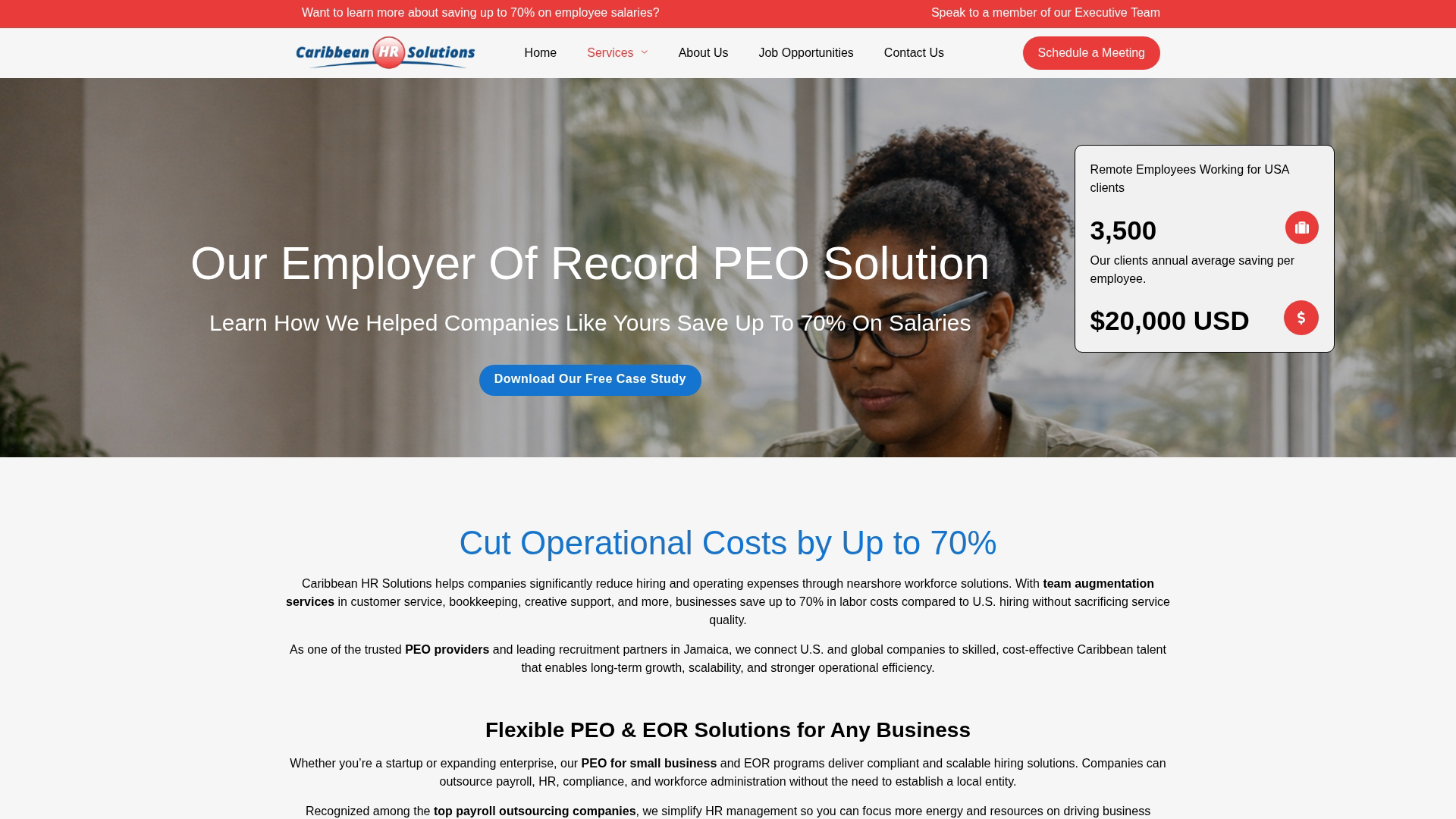 Caribbean HR Solutions Screenshot