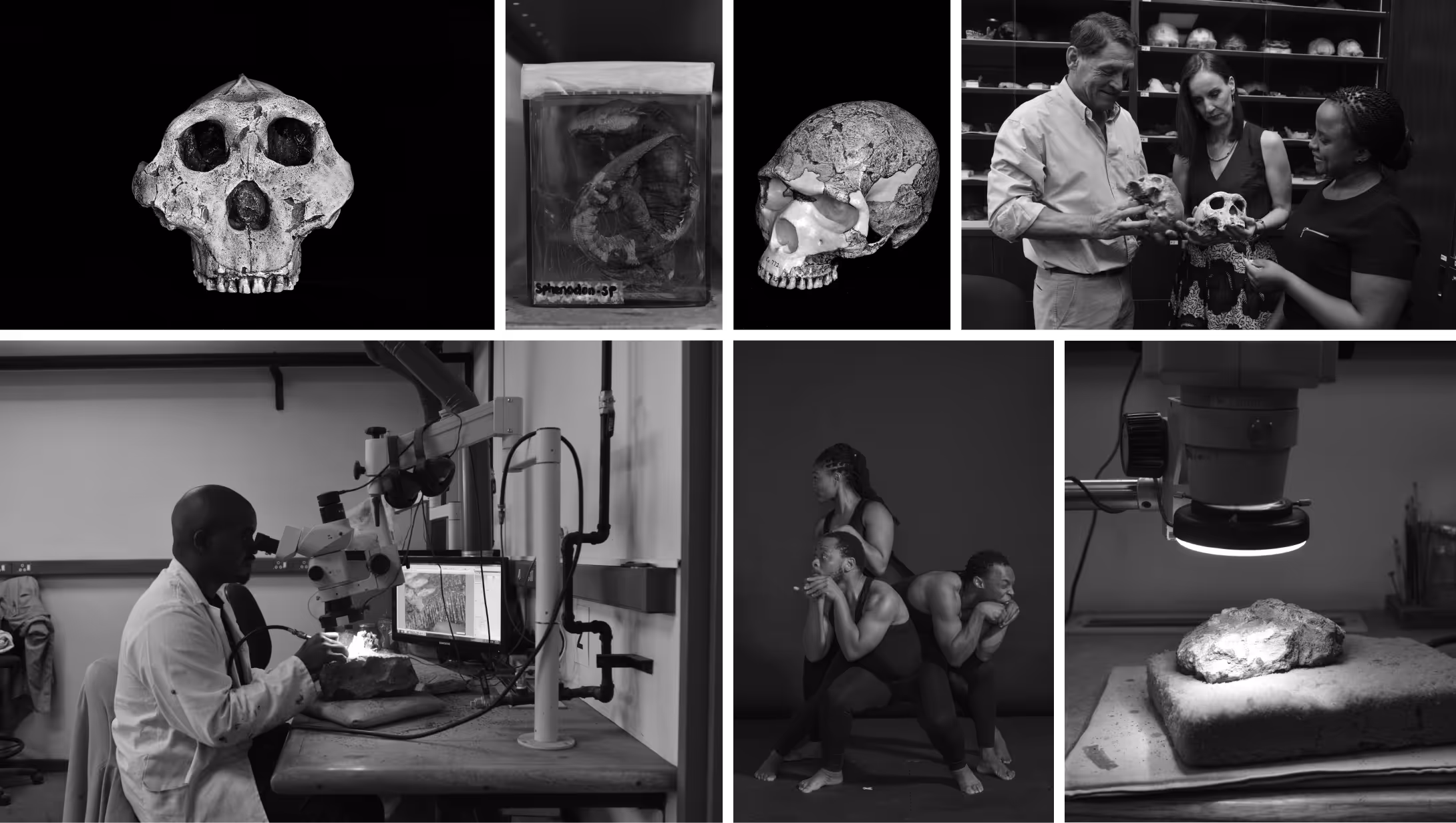 A greyscale style of how the images came out.