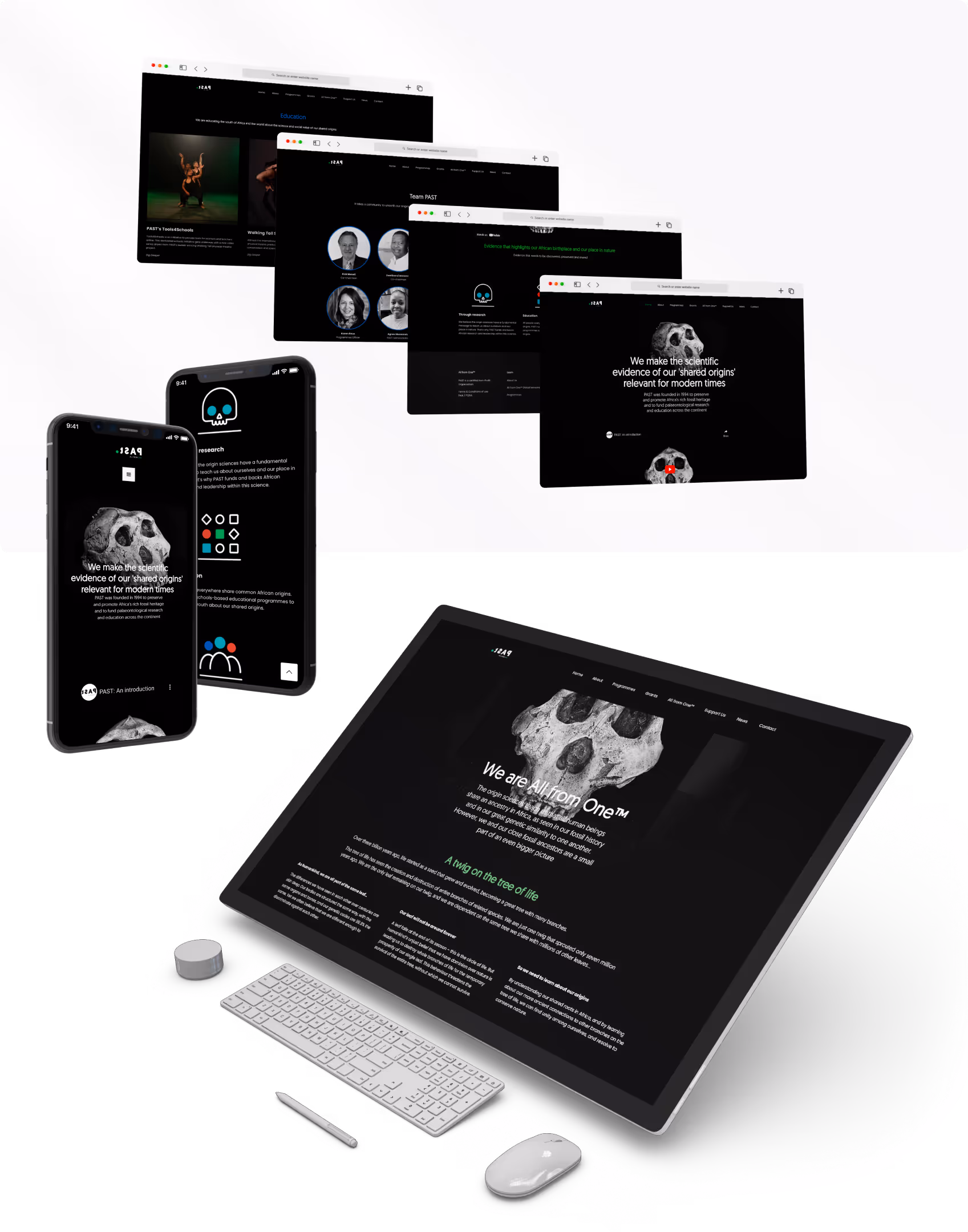 An image showcasing all the designs.