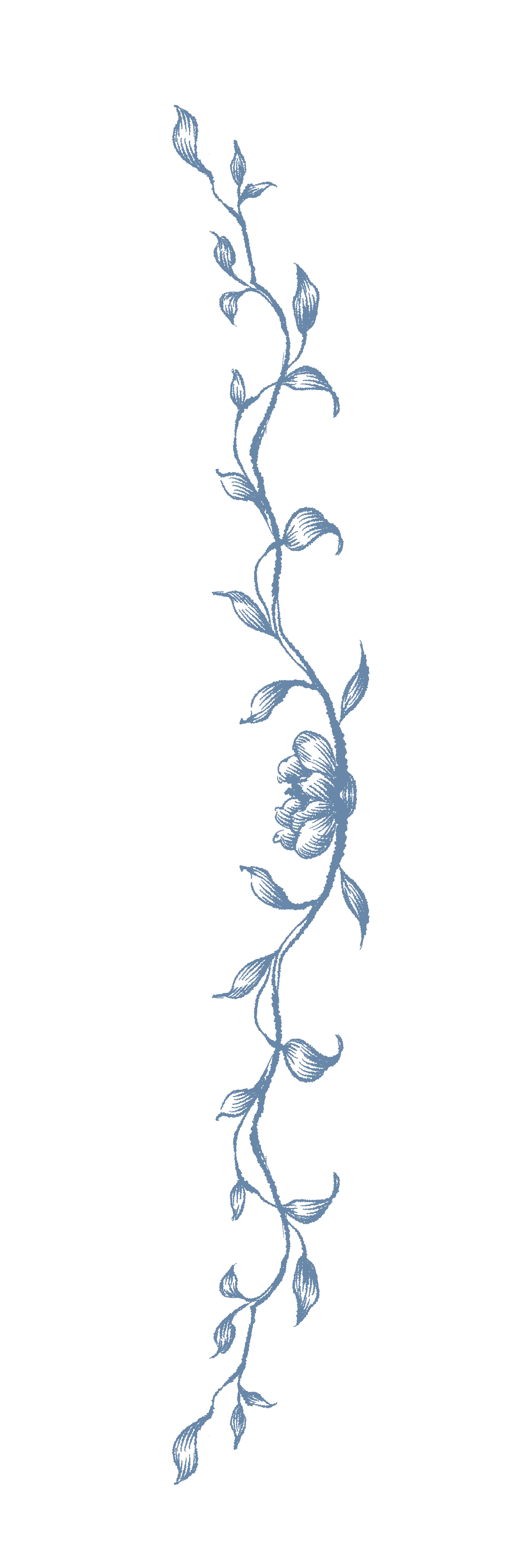 illustration blue line-work flowers