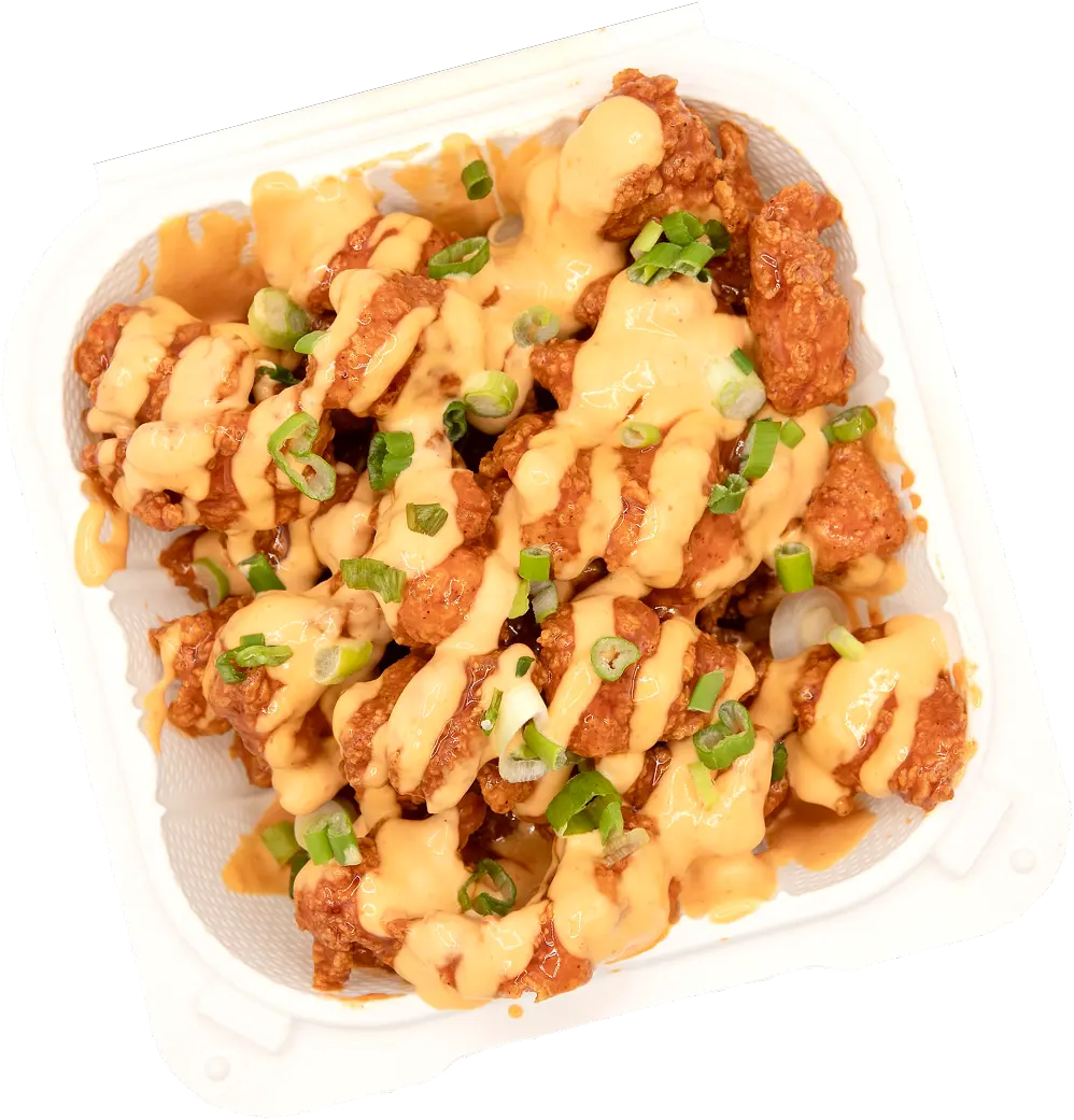 A container filled with chicken covered in sauce and green onions.