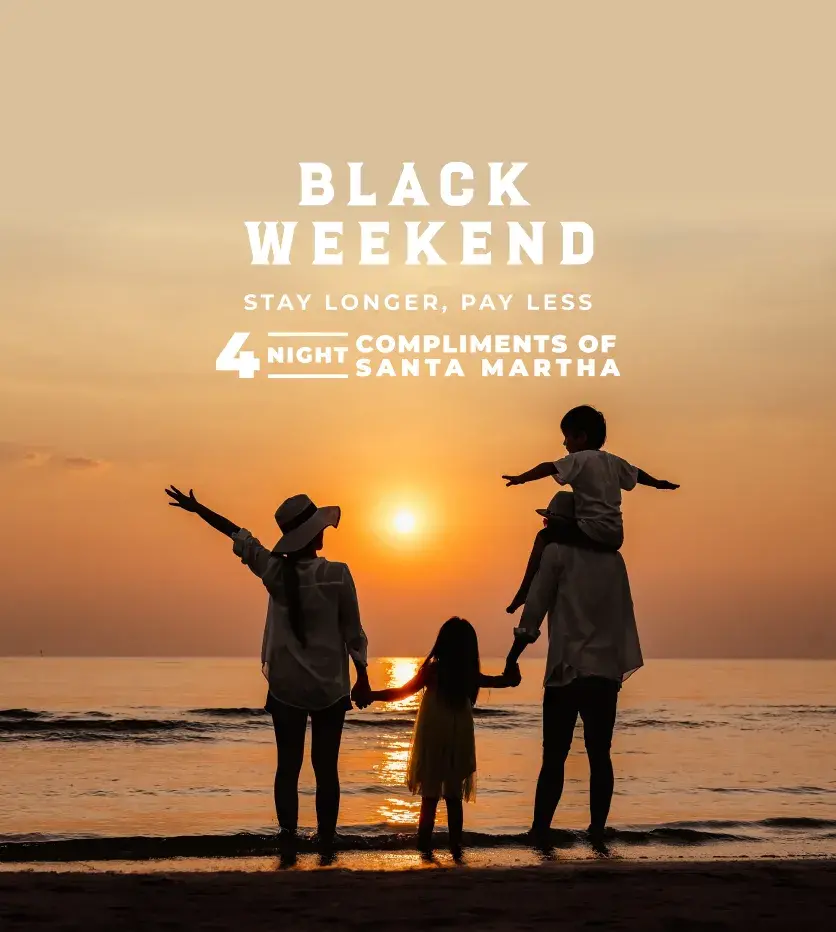 BLACK FRIDAY & CYBER MONDAY DEAL