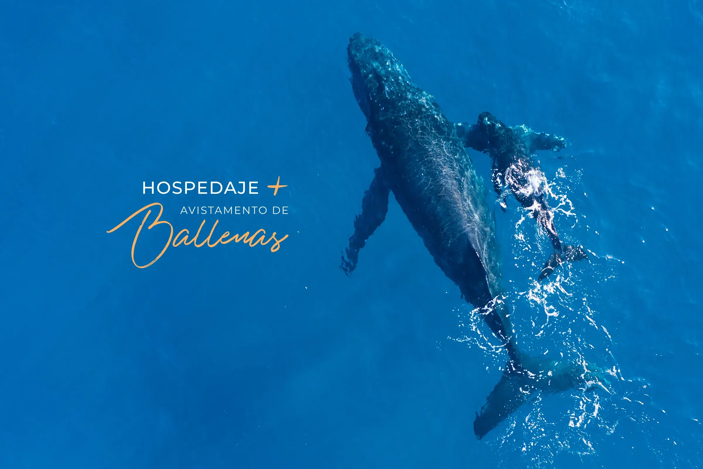 ¡HOSPEDAJE + RECORRIDO EN CATAMARÁN DESDE $2,941!