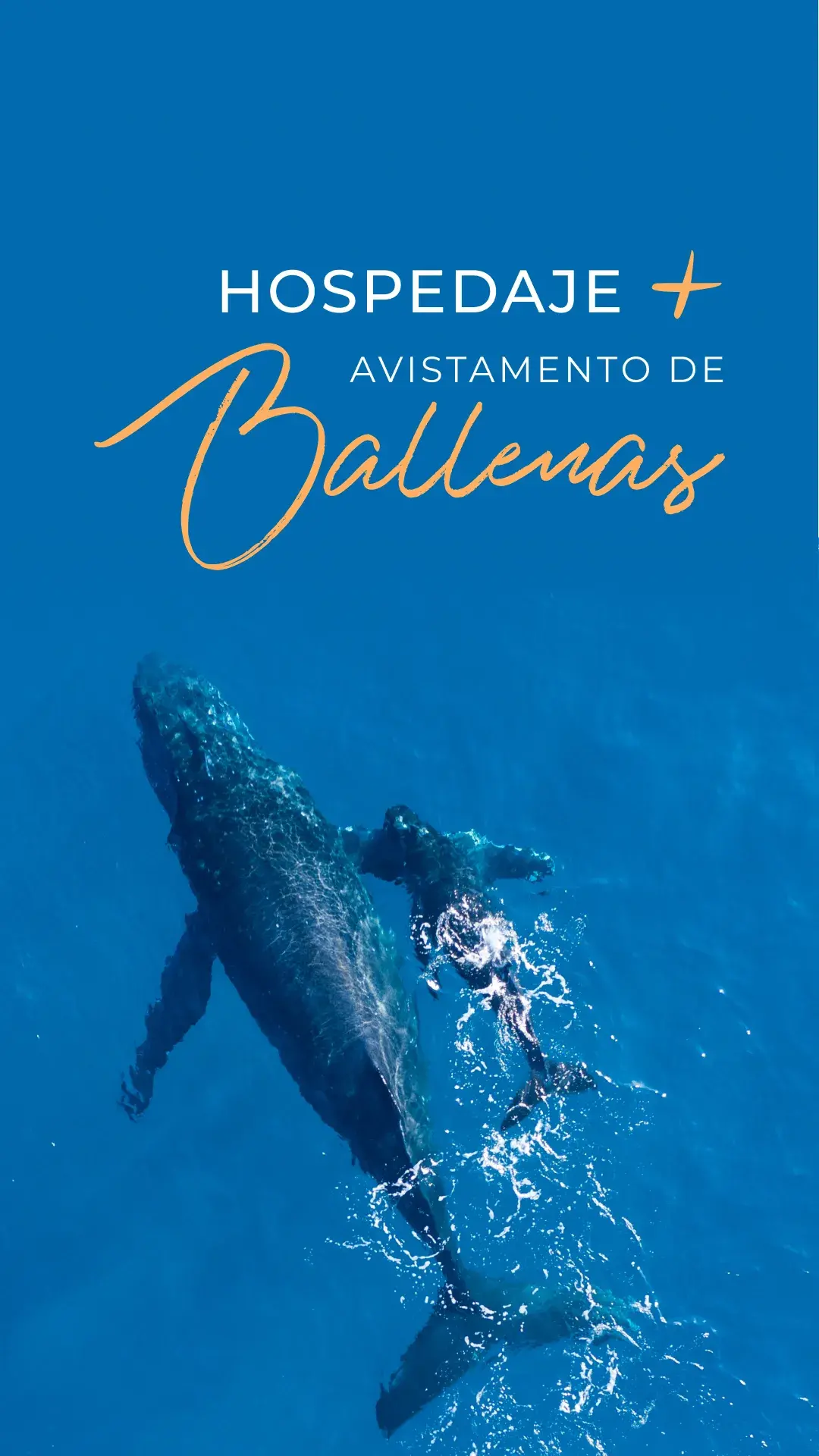 ¡HOSPEDAJE + RECORRIDO EN CATAMARÁN DESDE $2,941!