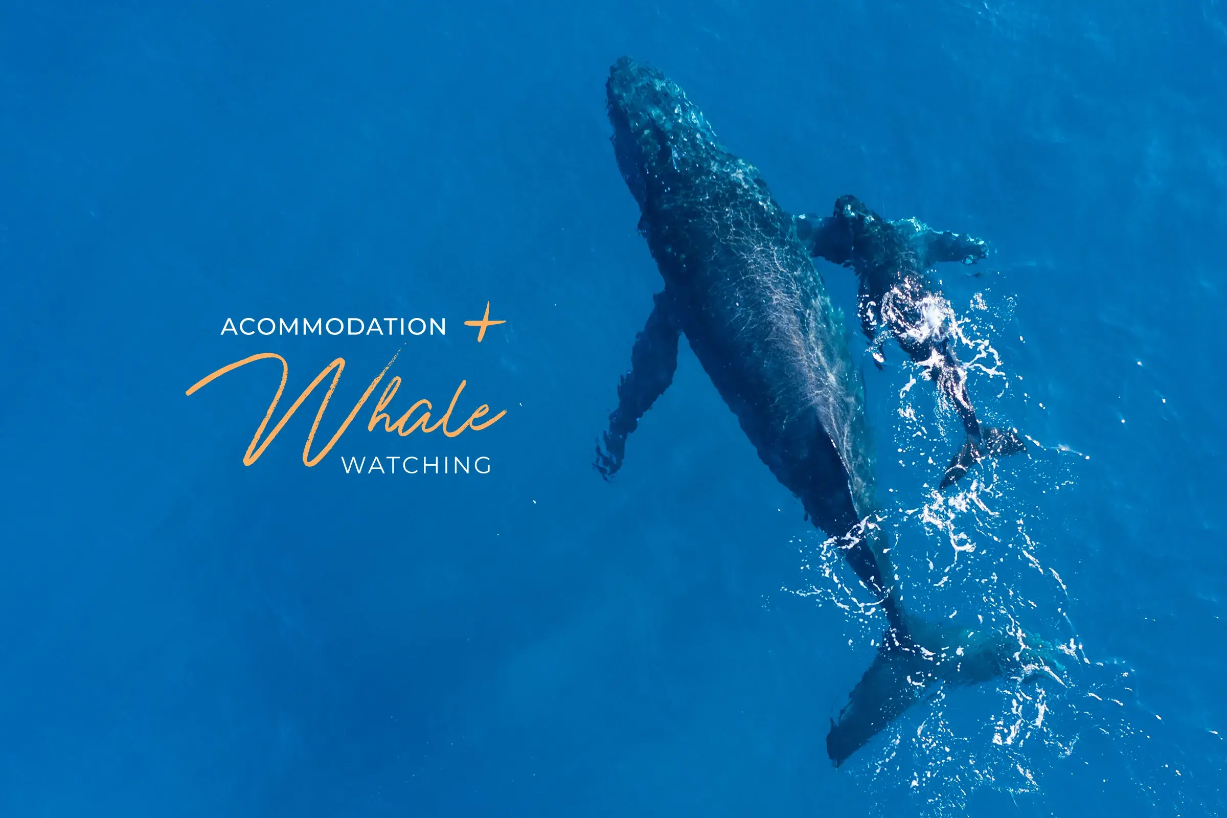 ACCOMMODATION + CATAMARAN TOUR FROM $2,941!