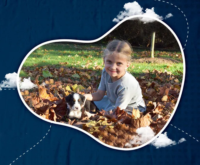 Child with Bernese Mountain dog puppy.